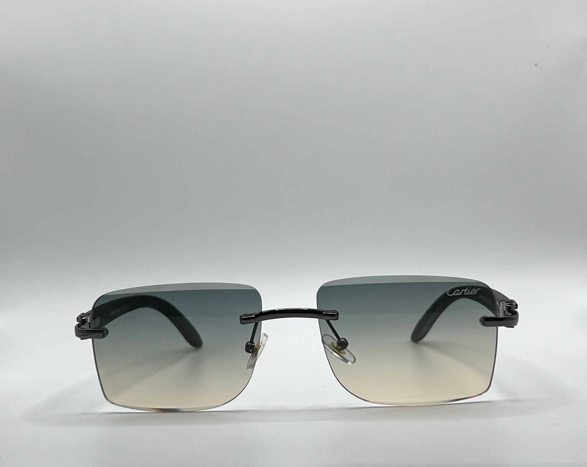 Lunettes CARTIER OCEAN PALOMÉ CR-1144