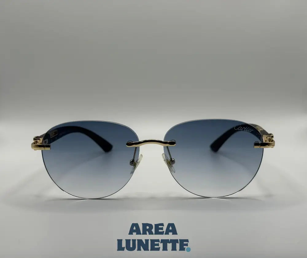 Lunettes CARTIER BLEU CR-1109
