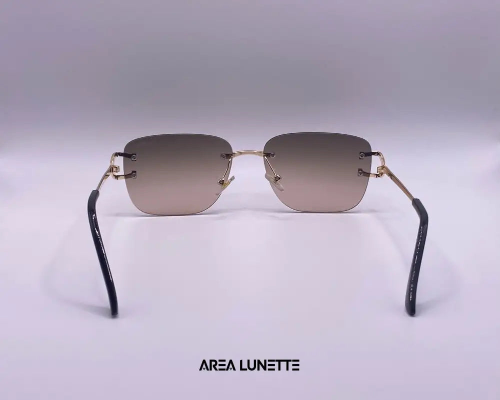 Lunettes CARTIER MARRON CR-1047