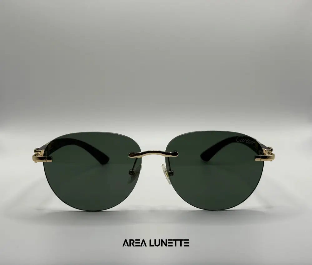 Lunettes CARTIER VERT CR-1112