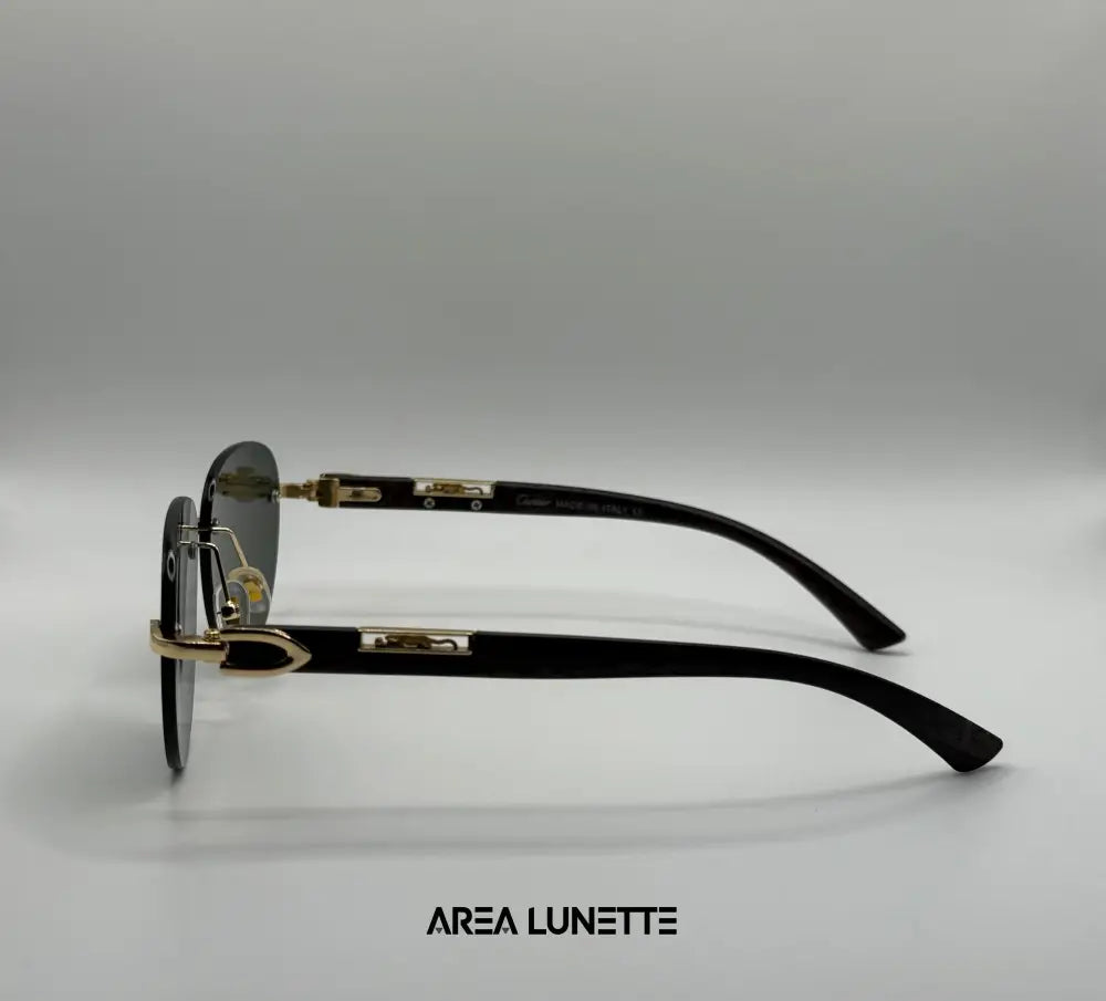 Lunettes CARTIER VERT CR-1112