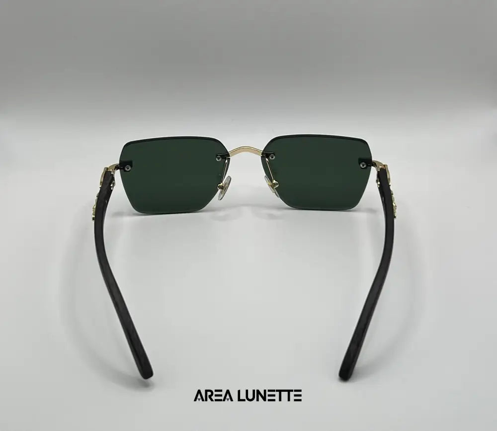 Lunettes CARTIER VERT CR-1119