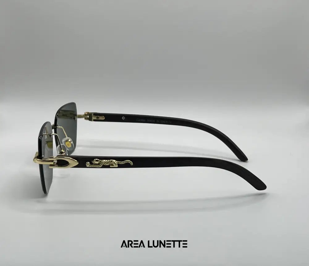 Lunettes CARTIER VERT CR-1119