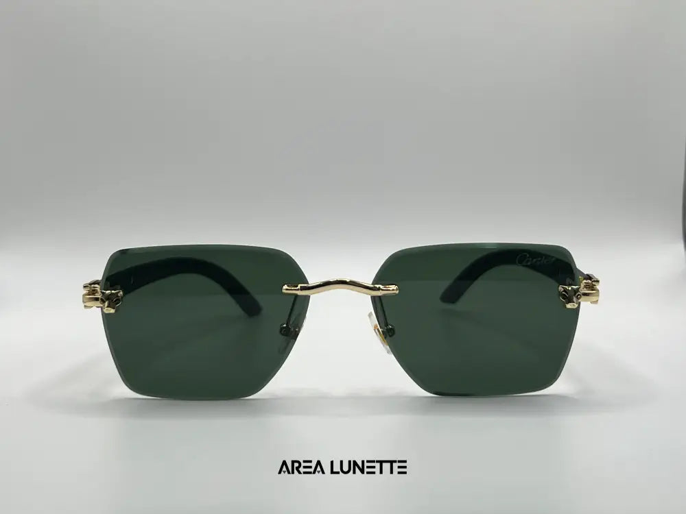 Lunettes CARTIER VERT CR-1119