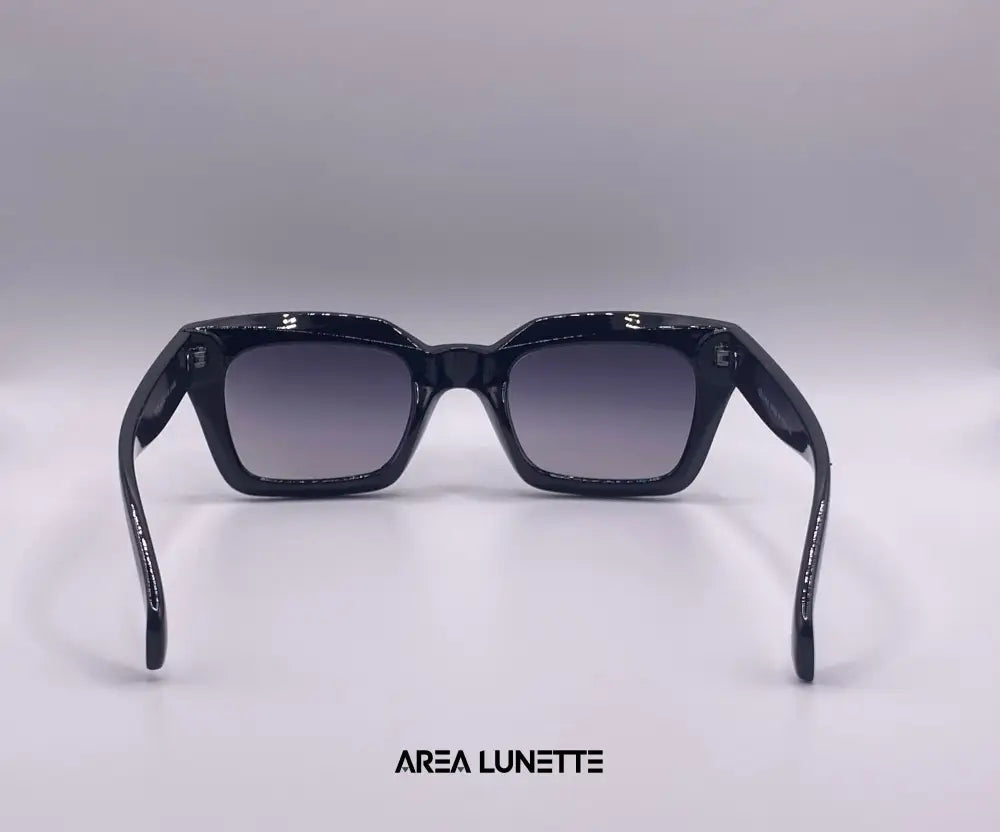 Lunettes CÉLINE NOIR CL-1011