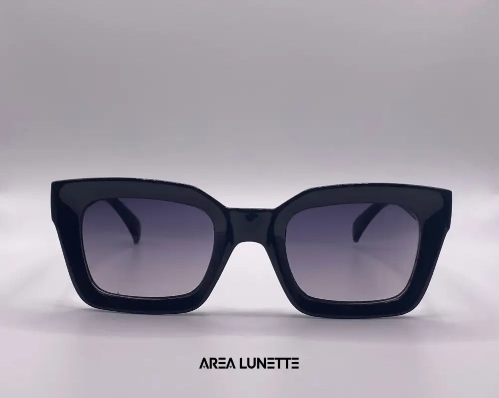 Lunettes CÉLINE NOIR CL-1011