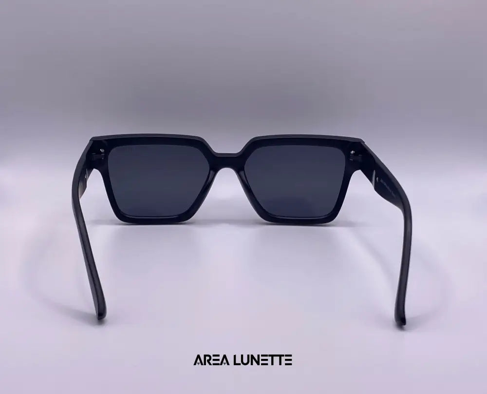 Lunettes LOUIS VUITTON NOIR LV-1096