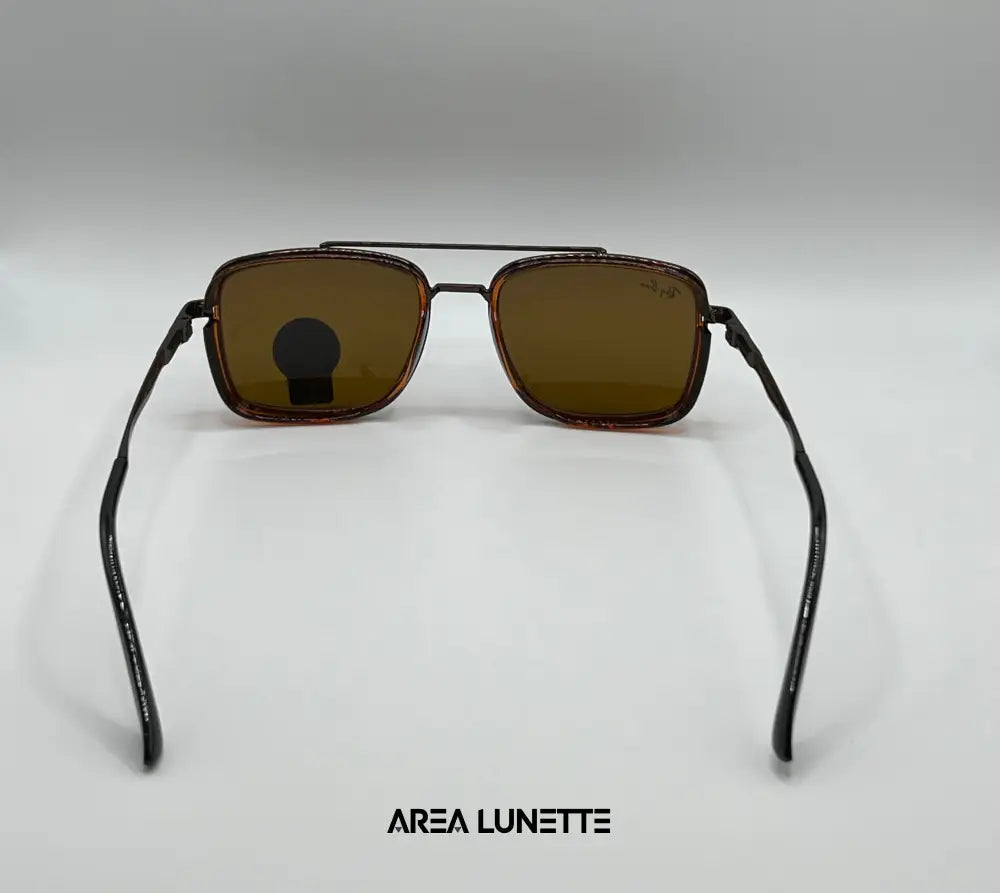 Lunettes RAYBAN MARRON RB-1035