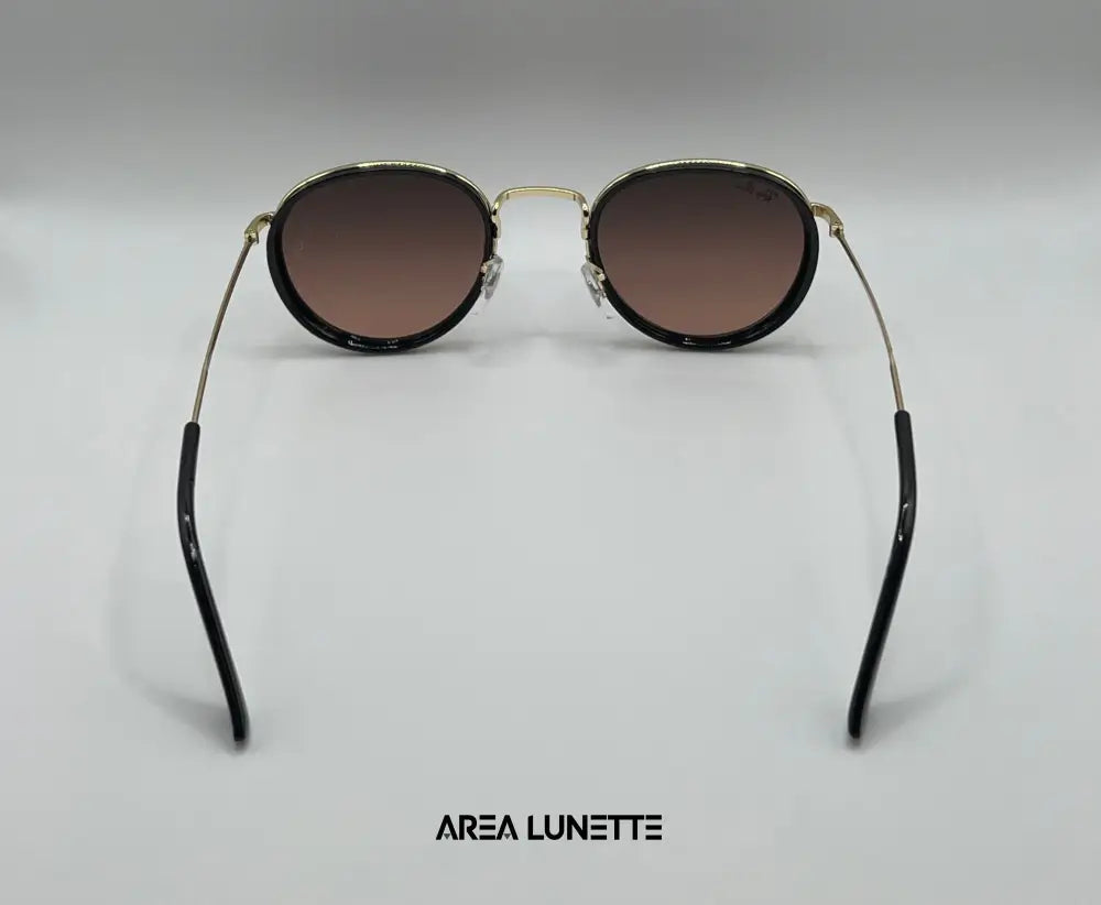Lunettes RAYBAN MARRON RB-1099