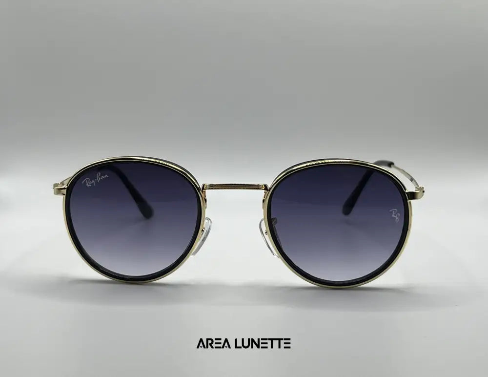 Lunettes RAYBAN NOIR DEGRADÉ RB-1098