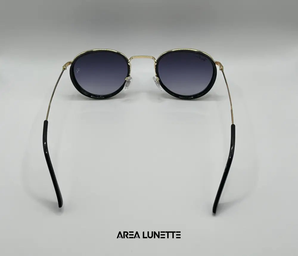 Lunettes RAYBAN NOIR DEGRADÉ RB-1098