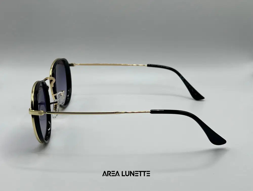 Lunettes RAYBAN NOIR DEGRADÉ RB-1098