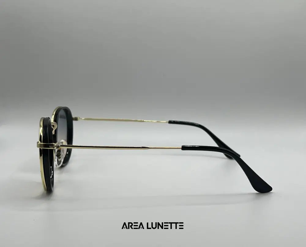 Lunettes RAYBAN OCEAN PALOMÉ RB-1078