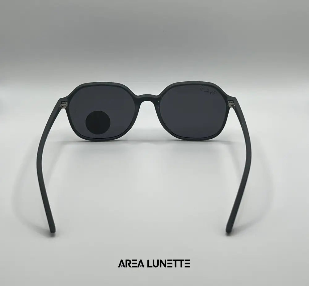 Lunettes RAYBAN POLARISÉ GRIS RB-1077