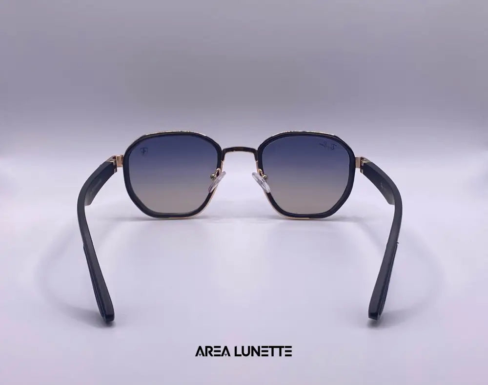 Lunettes RAYBAN X FERRARI OCEAN PALOMÉ RB-1058